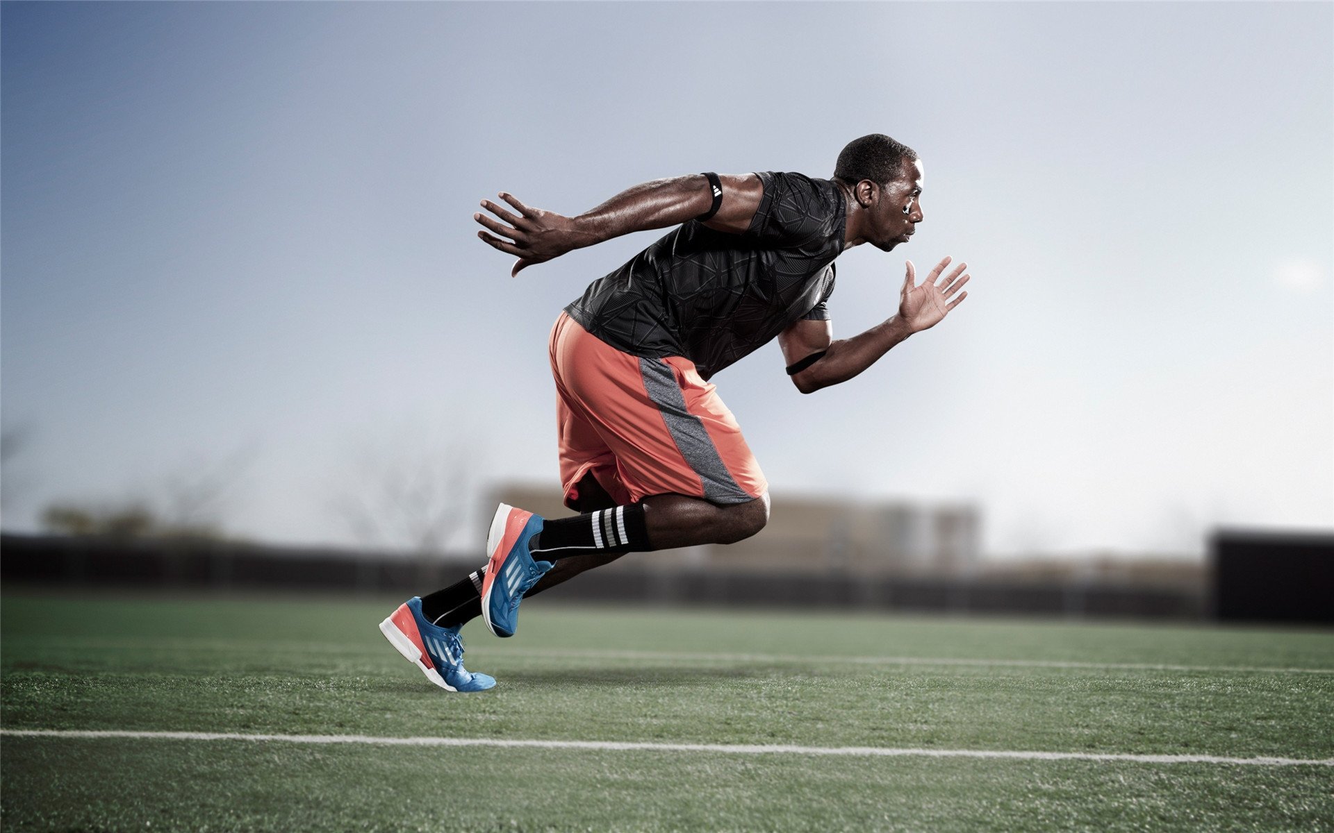 华体会hth登录-自由泳短距离澳洲选手稳定输出，澳大利亚男子自由泳