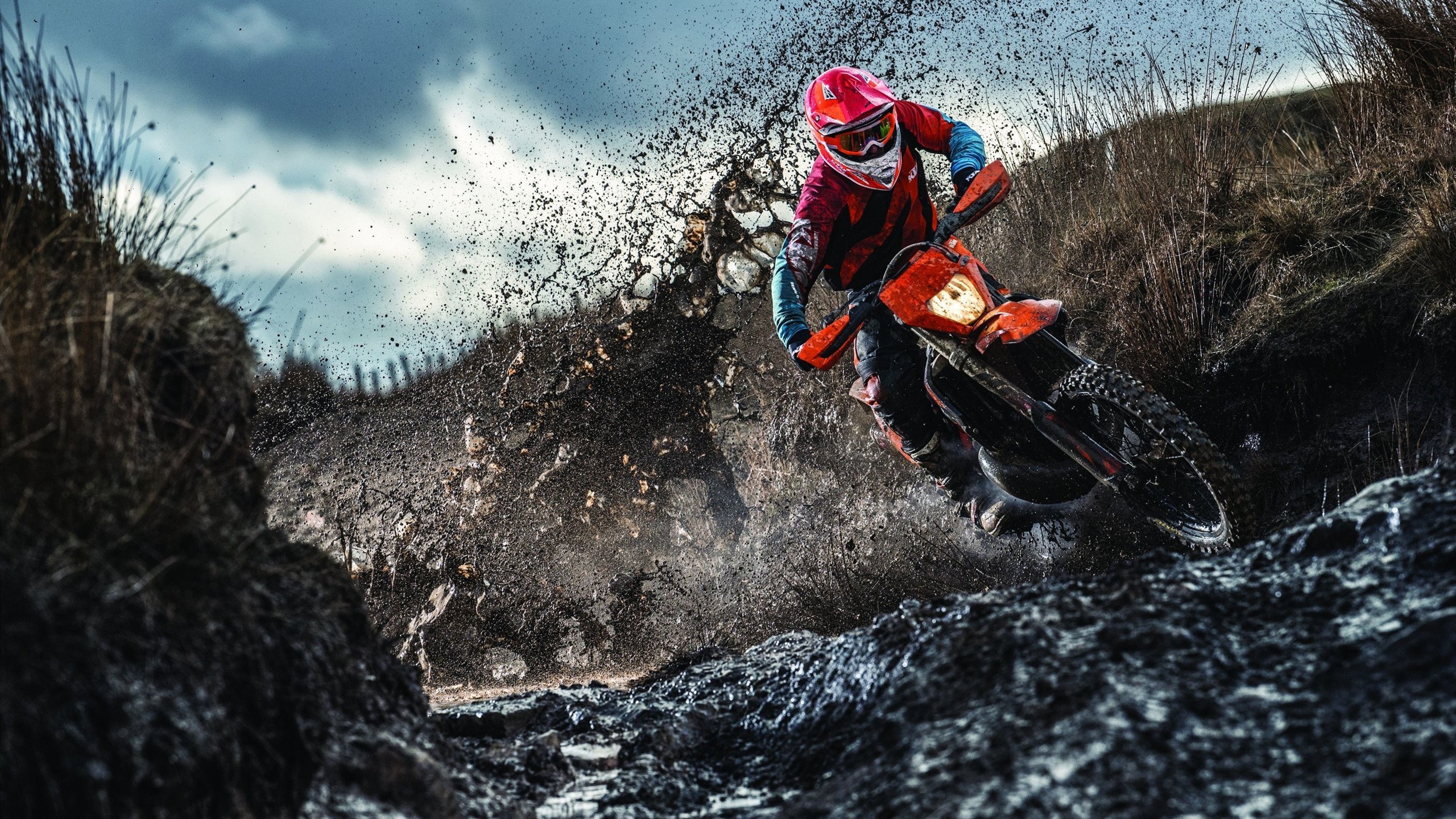 国家队引入“运动+心理+营养”一站式辅导新模式